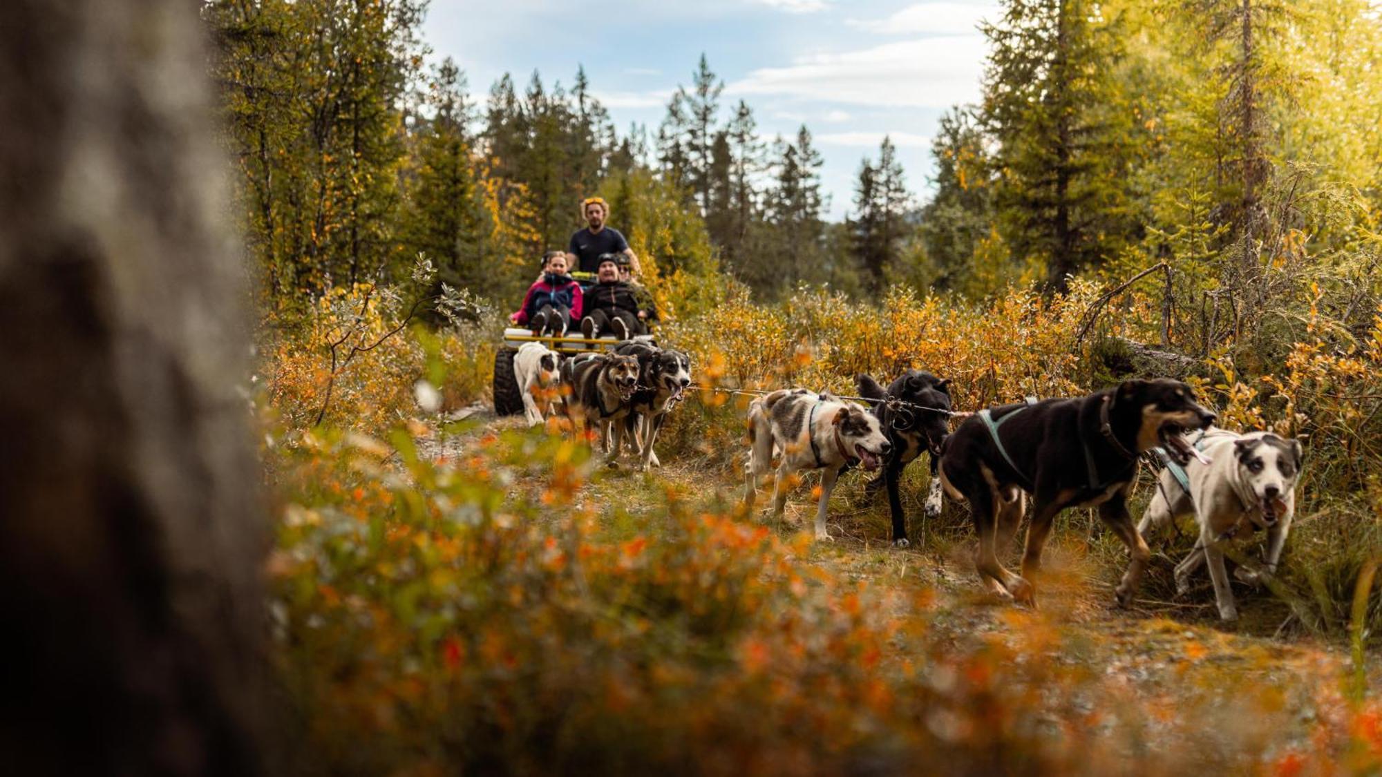 Fyri Resort Hemsedal Dış mekan fotoğraf